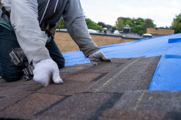 Best Roof Maintenance Services  in Blue Springs, MO